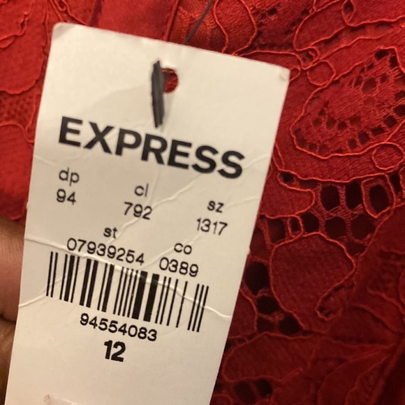 Lace Dress - Picture 3 of 3